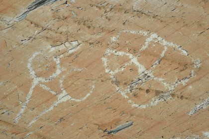 France, Alpes-Maritimes (06), parc national du Mercantour, Vallée des Merveilles parsemée de milliers de gravures rupestres de l'Age de bronze, dalle de schiste appelée la Roche de l’Autel gravée de figures corniformes représentant probablement un attelage de boeufs à gauche et un réticulé de cases qui symboliserait les champs cultivés à droite