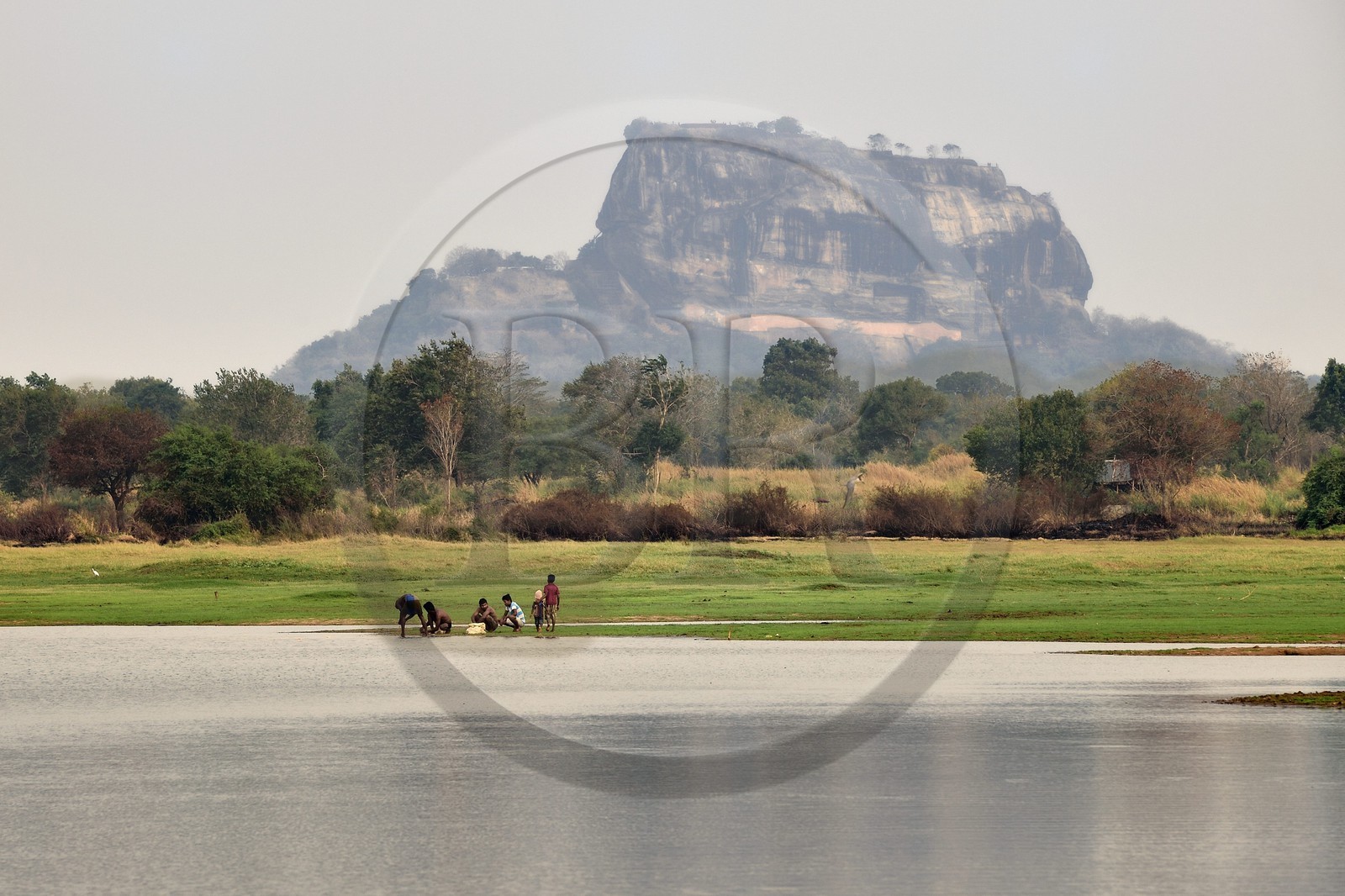 Sri Lanka, province centrale, district de Matale, Sigiriya, ville ancienne de Sigiriya classée patrimoine mondial de l'UNESCO, Rocher du Lion