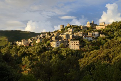 France, Haute-Corse (2B), Cap Corse, commune de Rogliano, village de Bettolacce (Bettulace) dominé par la tour génoise ronde della Parocchia, édifice fortifié du XVème siècle