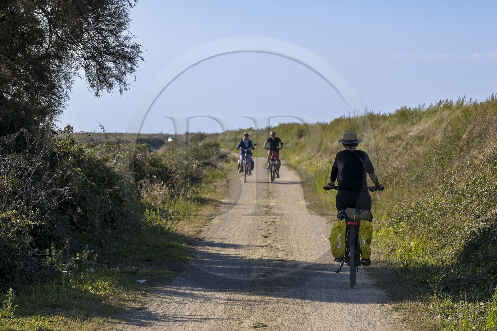 France, Vendée (85), île de Noirmoutier, Barbatre, cyclistes sur la digue de la côte Est