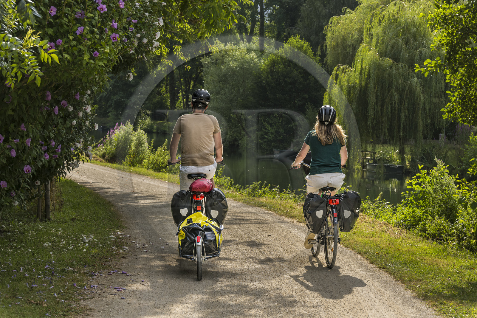 France, Deux-Sèvres (79), le Marais Poitevin, la Venise Verte, Magné, randonnée à bicyclette le long de la Sèvre Niortaise sur la voie cyclable de la Vélo Francette, vélo avec une remorque transportant le matériel de camping