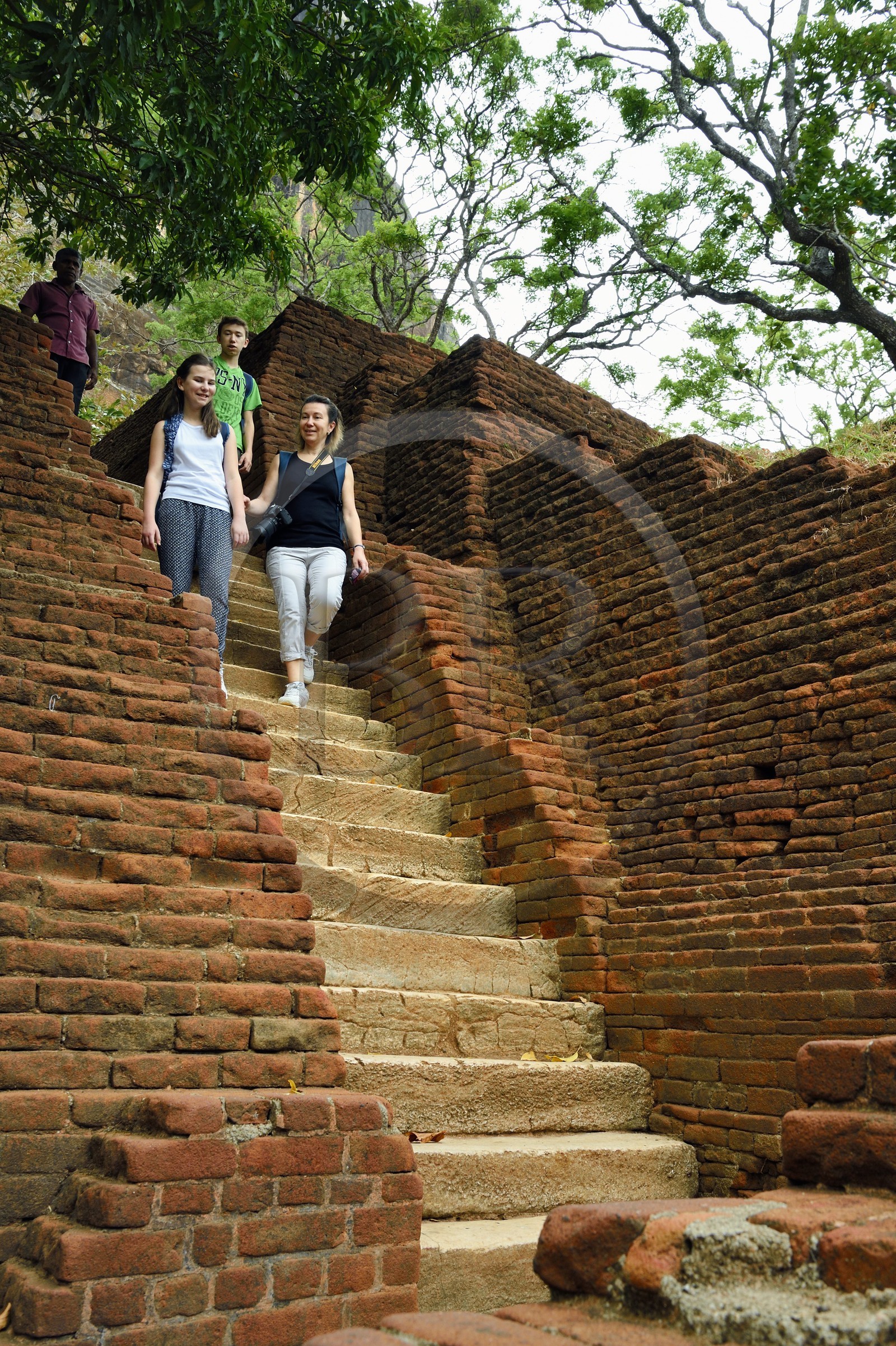 Sri Lanka, province centrale, district de Matale, Sigiriya, ville ancienne de Sigiriya classée patrimoine mondial de l'UNESCO, l'ancien palais forteresse du Rocher du Lion