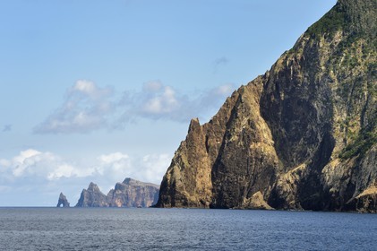 Portugal, Ile de Madère, Porto da Cruz, randonnée de Machico à Porto da Cruz par le Vereda do Larano, la falaise de Larano et la Ponta de Sao Lourenço en arrière plan