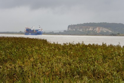 France, Seine-Maritime (76), Réserve Naturelle de l'estuaire de la Seine, porte-conteneurs descendant la Seine depuis Rouen, la roselière en premier plan et la Pointe de la Roque en arrière plan