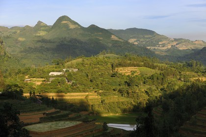 Vietnam, province de Lao Cai, région de Bac Ha, fermes entourées de cultures de maïs et de rizières