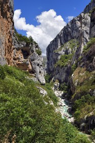 France, Alpes de Haute Provence, Parc Naturel Régional du Verdon, Rougon, Grand Canyon of Verdon in the corridor Samson, seen from the trail sentier Blanc-Martel on the GR4