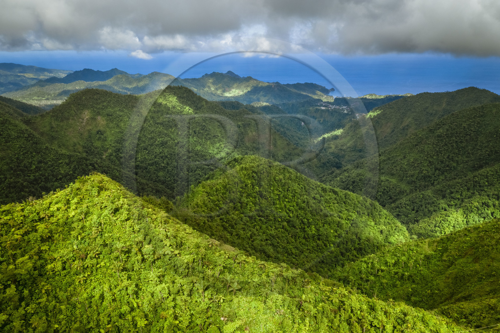 Caraïbes, Ile de la Dominique, Parc national du Morne Trois Pitons classé Patrimoine Mondial de l'UNESCO, la forêt tropicale au pied du Morne Trois Piton et la côte Est en arrière plan (vue aérienne)