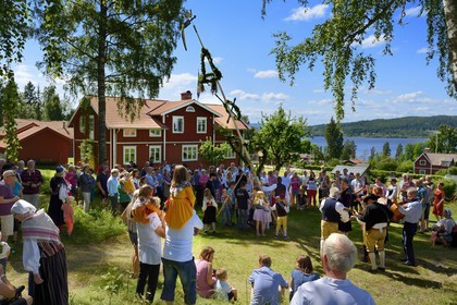 Sweden, Dalarna County, Leksand area, Midsummer celebrations in the tiny hamlet of Sunnanäng on the shore of Lake Siljan, uprising the maypole