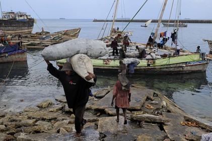 Tanzanie, archipel de Zanzibar, île de Unguja (Zanzibar), ville de Zanzibar, quartier Stone Town, classé Patrimoine Mondial de l' UNESCO, port des dhows (boutres traditionnels), déchargement du charbon