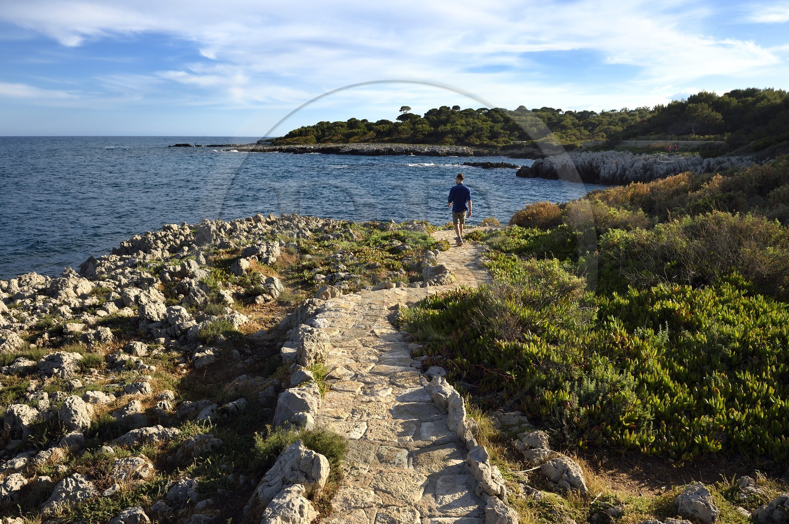 France, Alpes-Maritimes (06), Antibes, Cap d'Antibes, le sentier du Littoral Tire-poil (ou chemin des douaniers) au Cap Gros