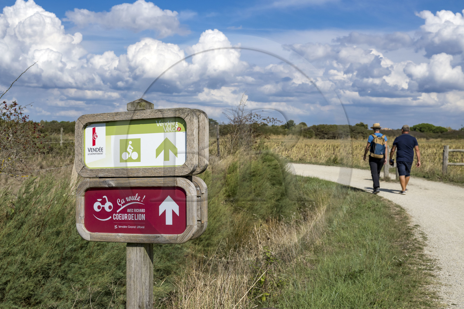 France, Vendée (85), Talmont-Saint-Hilaire, marais de la Guittière dans l'arrière pays de la Pointe du Payré
