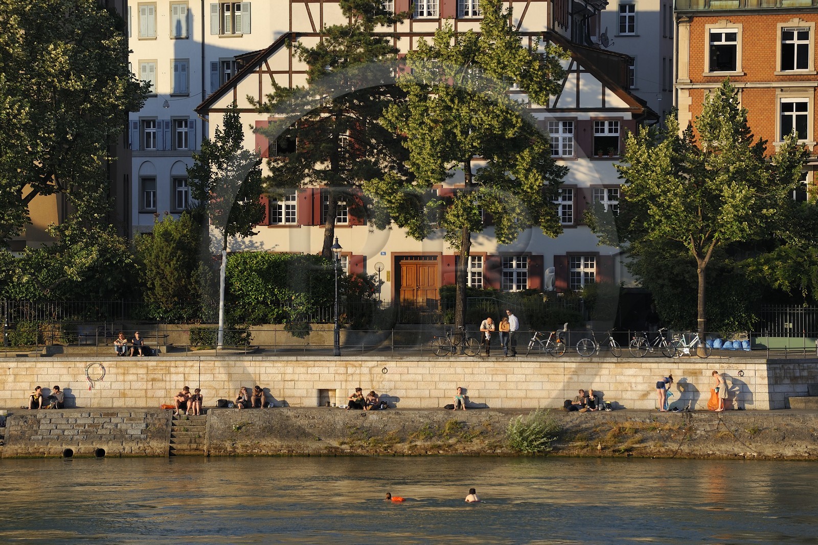 Switzerland, Canton Basel-Stadt, Basel, Little Basel district on the right bank of the river Rhine, swimming in the river