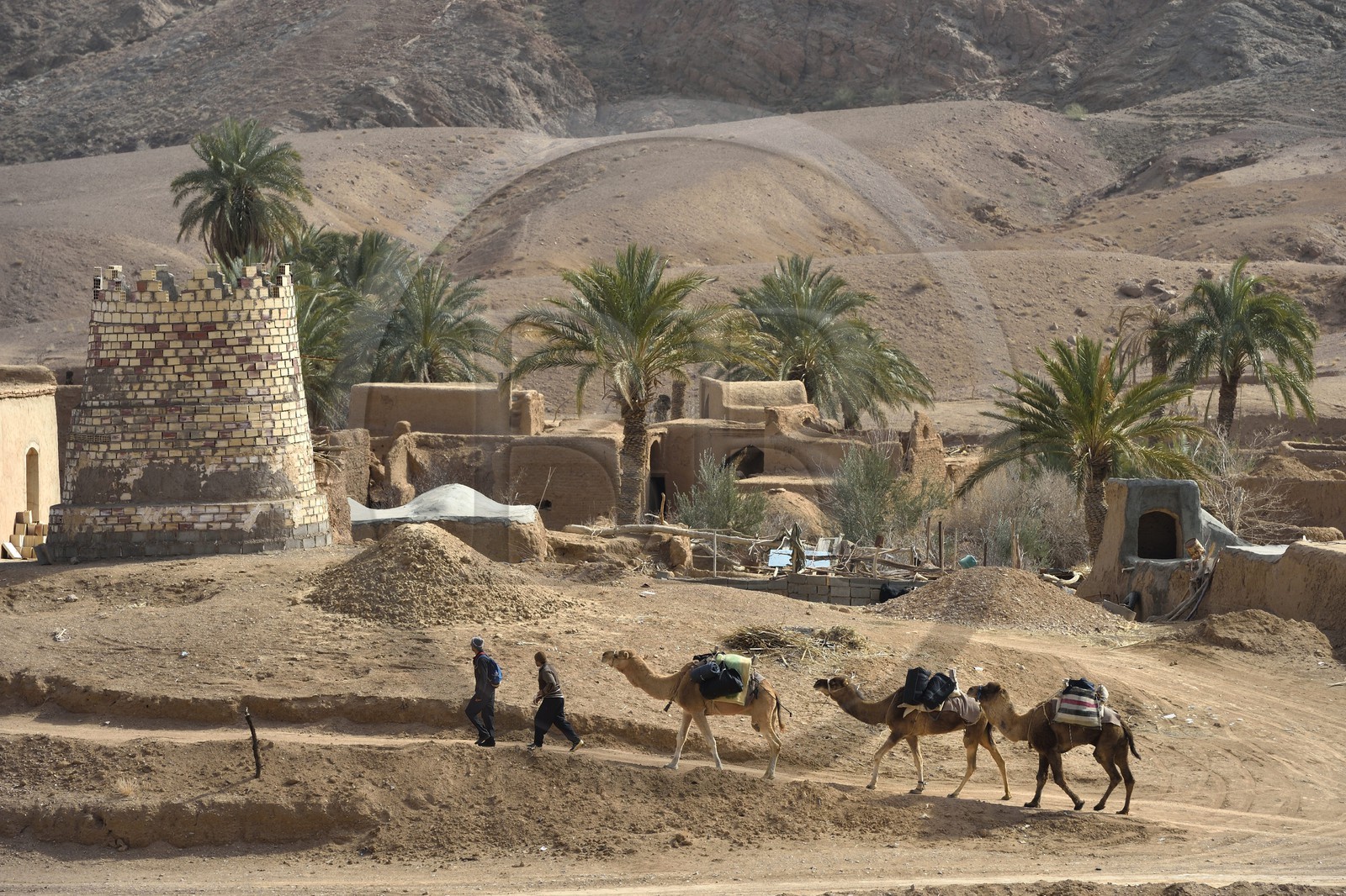 Iran, Province d'Ispahan, désert du Dasht-e Kavir, l'oasis d'Arousan dans la région de Khur et Biabanak
