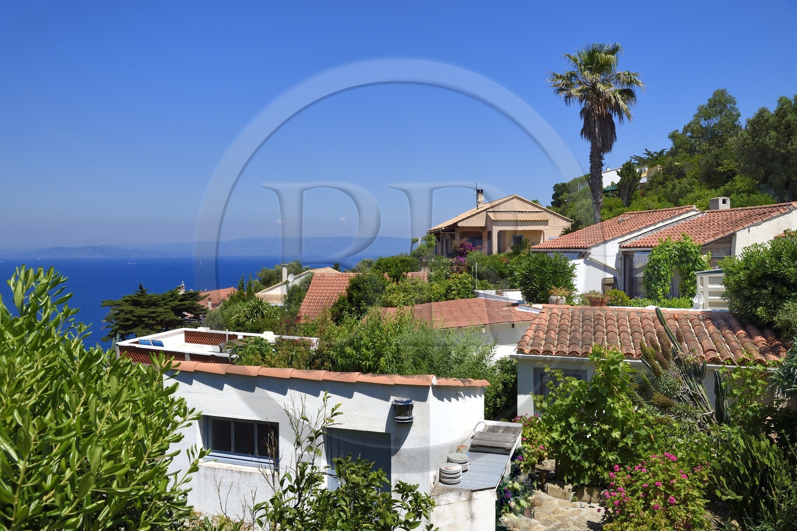 France, Var (83), Iles d'Hyères, Parc national de Port Cros, Ile du Levant, domaine naturiste d'Héliopolis, maisons du village