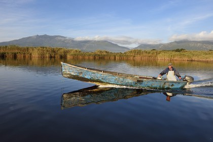 France, Haute-Corse (2B), pecheur en barque sur l'étang de Biguglia (stagnu di Chjurlinu), réserve naturelle de Corse (RNC)