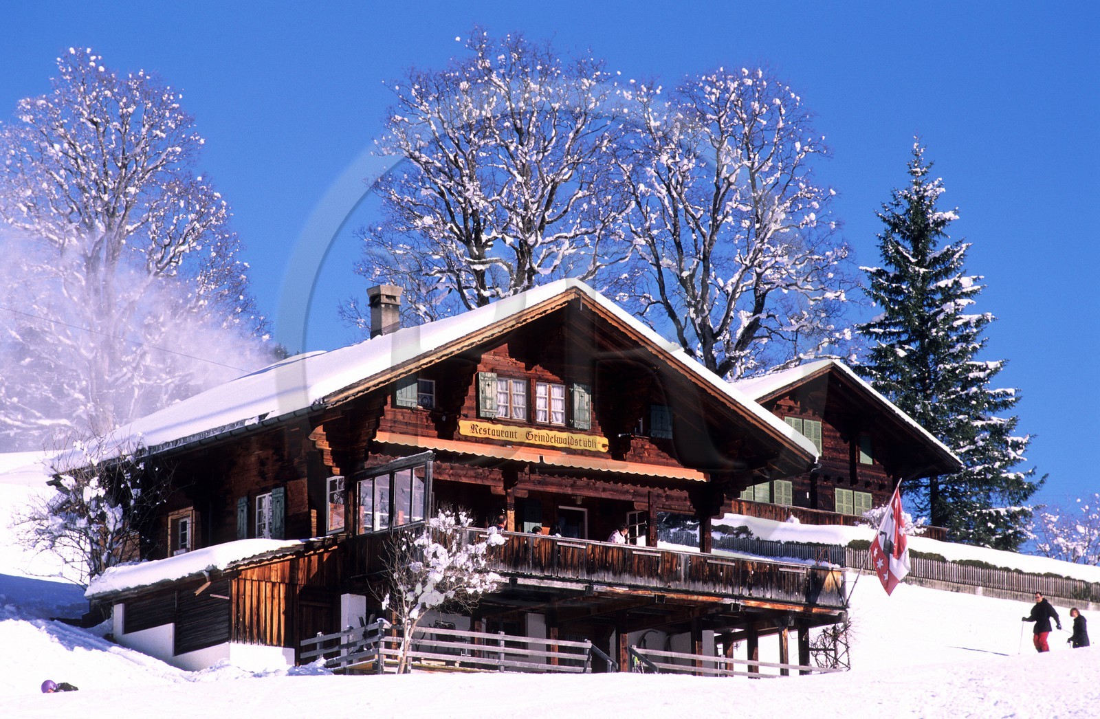 Suisse, région de Bern (Oberland Bernois), Grindelwald, restaurant Grinoel Walostaldk