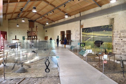 France, Charente (16), Cognac, Musée des Arts de Cognac, viticulture