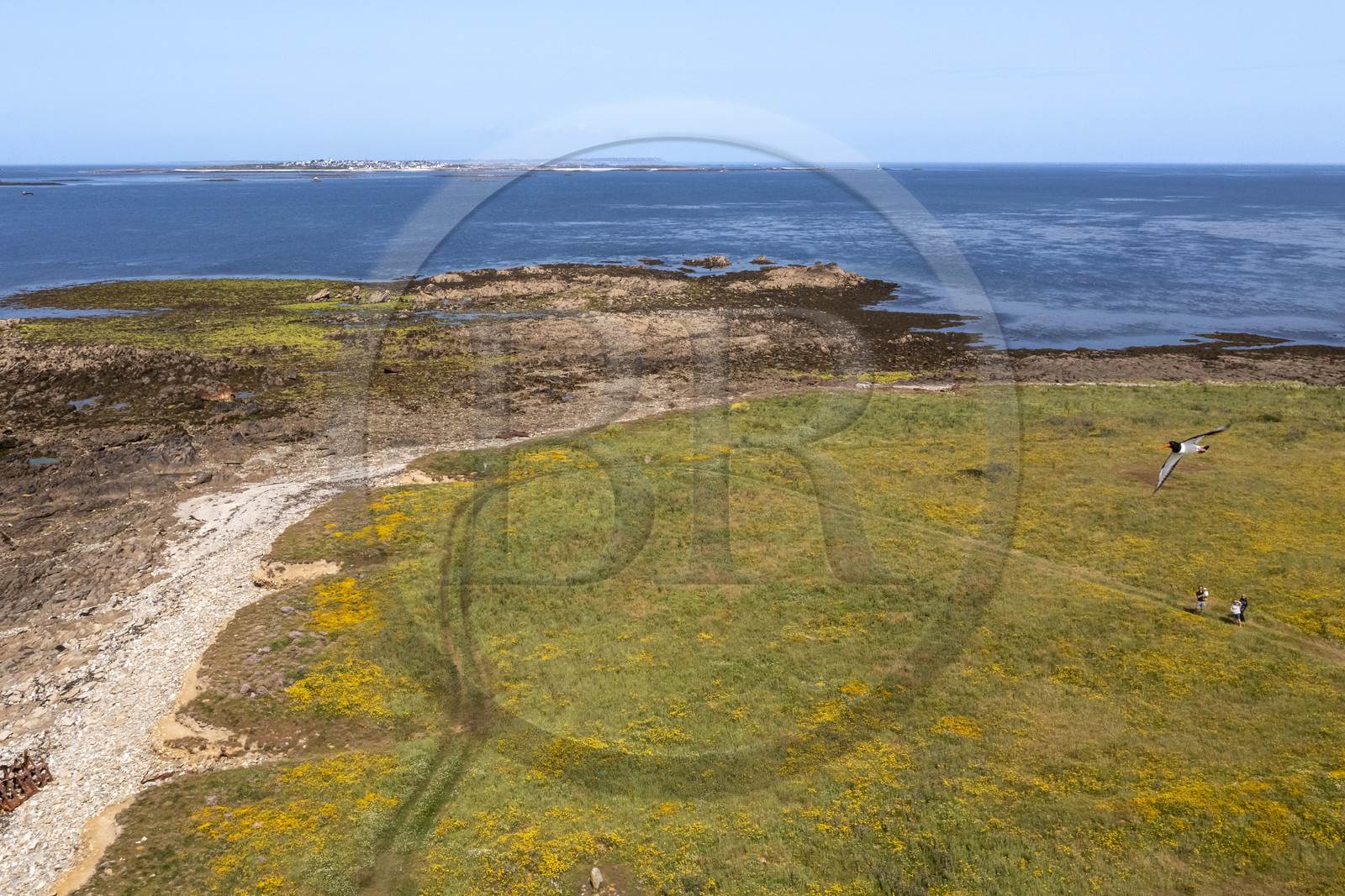 France, Finistère (29), Mer d'Iroise, archipel de Molène, pointe Ouest de l'Ile de Quéménès (vue aérienne)