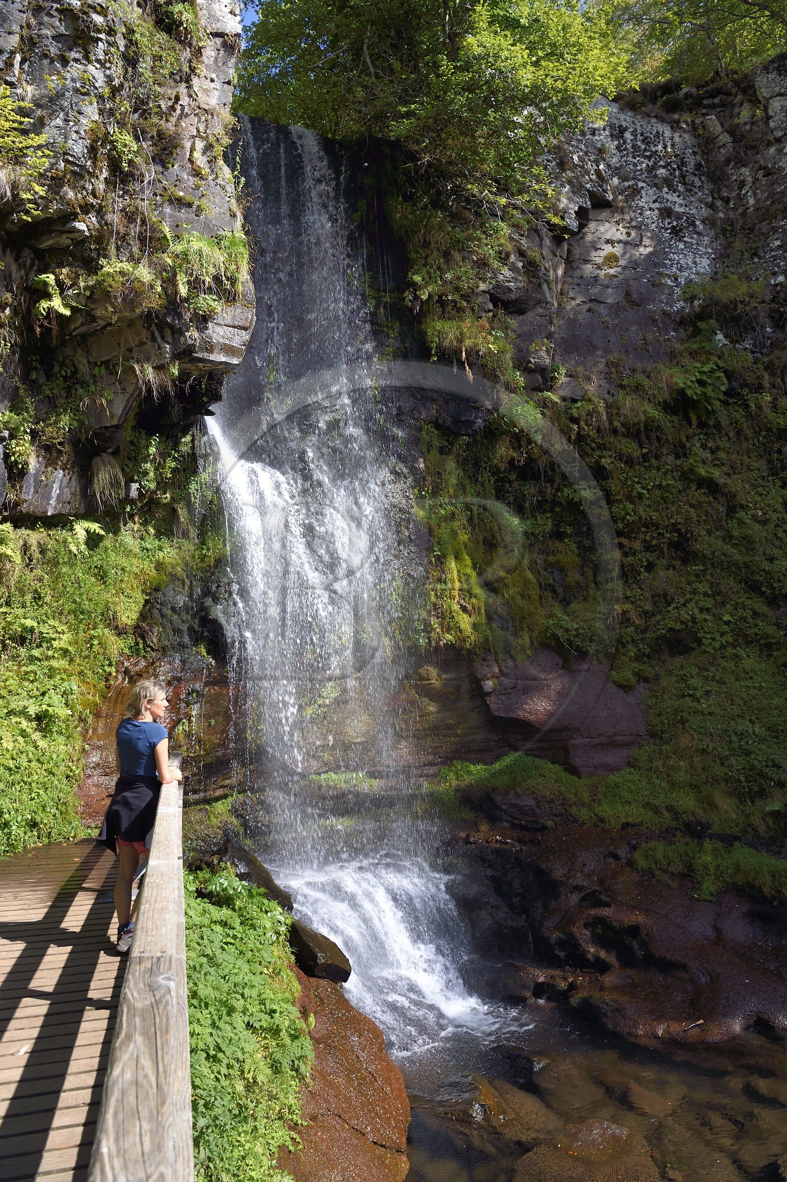 France, Cantal (15), Parc Naturel Régional des Volcans d’Auvergne, vallée de Brezons, hameau de Sanissage, la cascade du Saut de la Truite