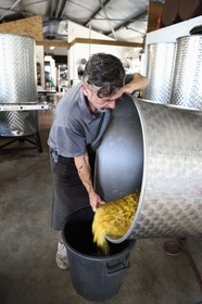 France, Ile de la Reunion, La Saline, La Part des Anges Distillation, ananas récupérés dans des cuves après trois mois de fermentation et avant distillation