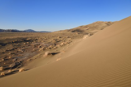 Iran, Yazd province, Dasht-e Kavir desert, Moghestan, dune system whose highest dune reaches 200 meters