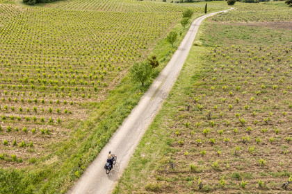France, Vaucluse (84), Châteauneuf-du-Pape, randonnée à vélo sur le chemin Coste Froide sur le plateau de la Crau (vue aérienne)