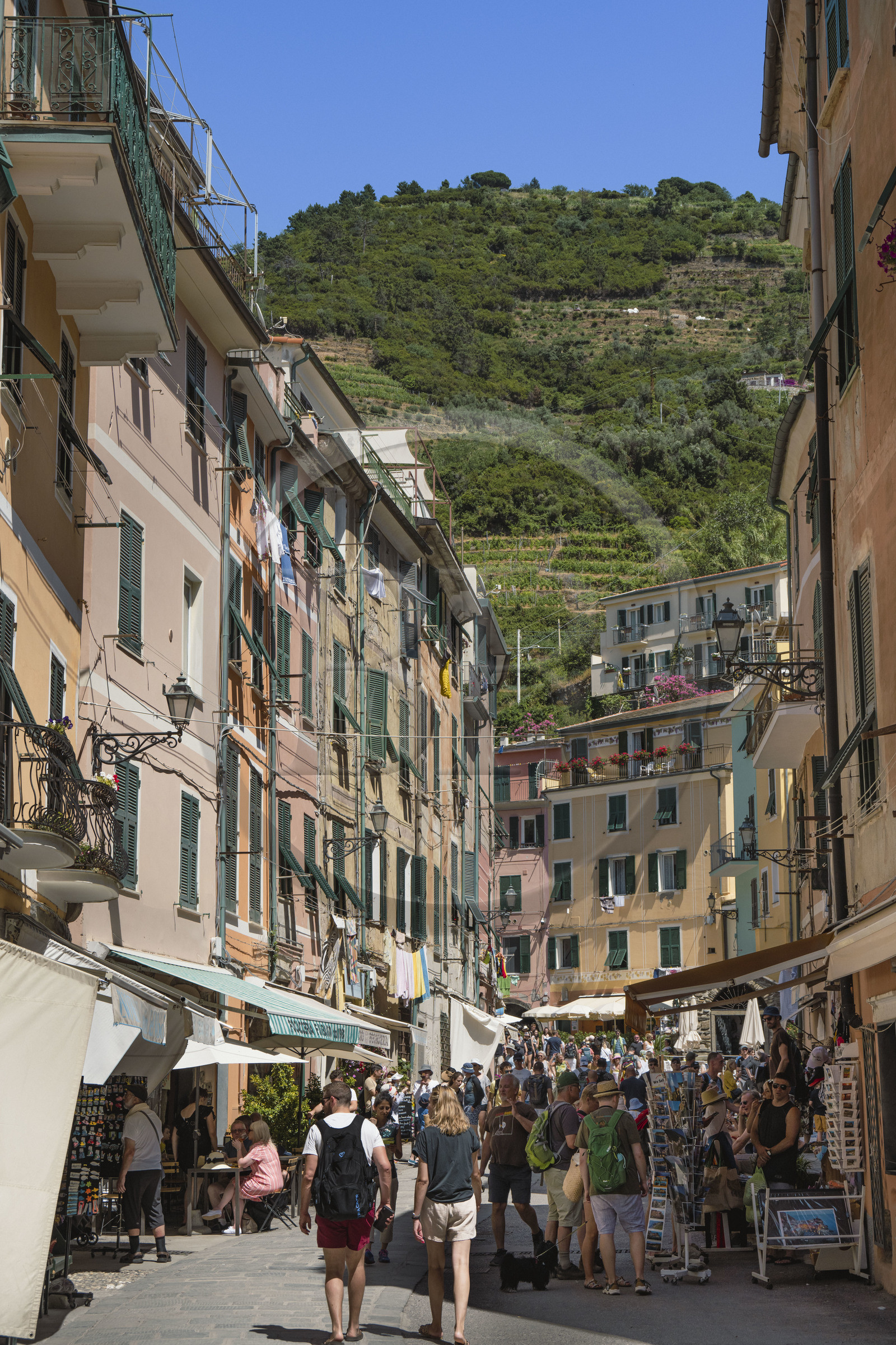 Italie, Ligurie, Cinque Terre, parc national des Cinque Terre classé Patrimoine Mondial de l'UNESCO, village de Vernazza, heure d'affluence dans la rue principale