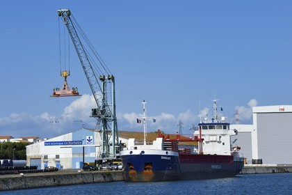 France, Charente-Maritime (17), La Rochelle, le Port Atlantique La Rochelle, port de commerce, bassin à Flot