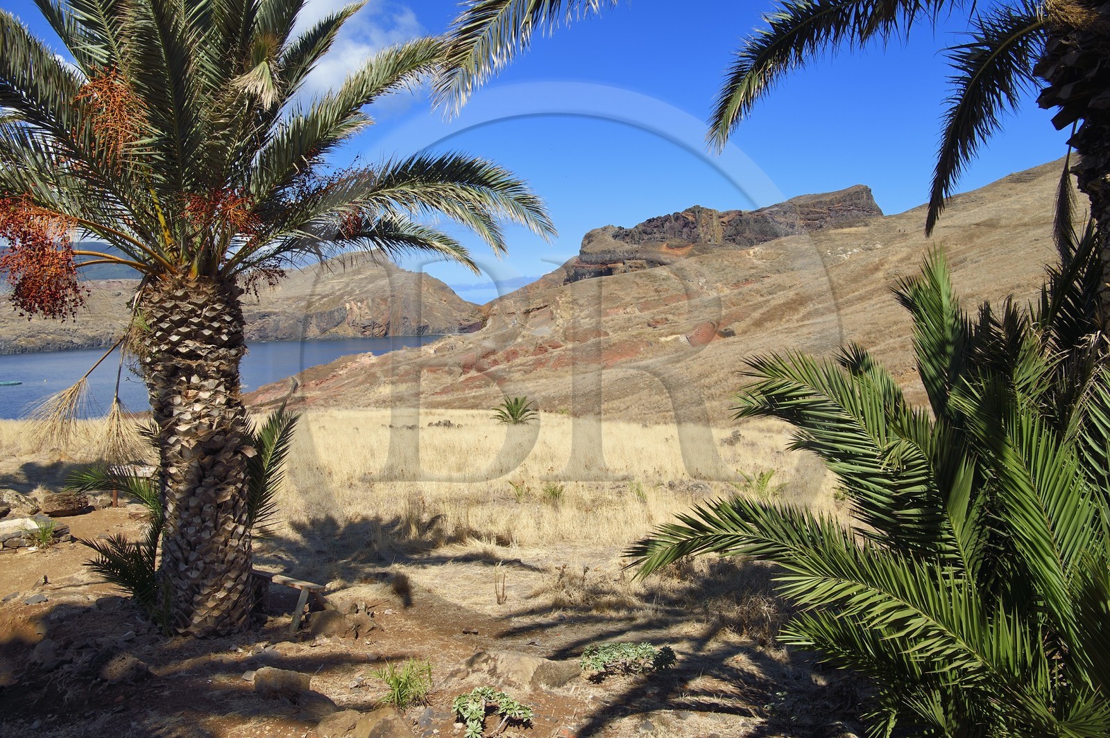 Portugal, Madeira Island, hike in the Ponta de Sao Lourenço nature reserve in the far east of the island, at Casa do Sardinha