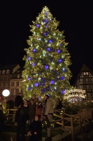 France, Bas-Rhin (67), Strasbourg, vieille ville classée au Patrimoine Mondial de l’UNESCO, le Grand Sapin de Noël de la place Kléber