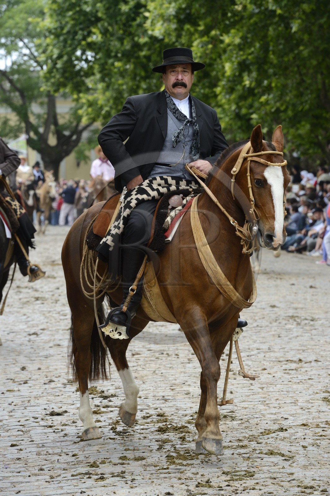 Argentine, province de Buenos Aires, San Antonio de Areco, fête du Jour de la Tradition (Dia de la Tradicion), gaucho à cheval défilant en habit traditionnel, estanciero (gaucho propriétaire d'un ranch)