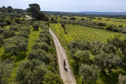 France, Vaucluse (84), Dentelles de Montmirail, Beaumes-de-Venise, randonnée à vélo électrique entre vigne et oliviers sur les petites routes (vue aérienne)
