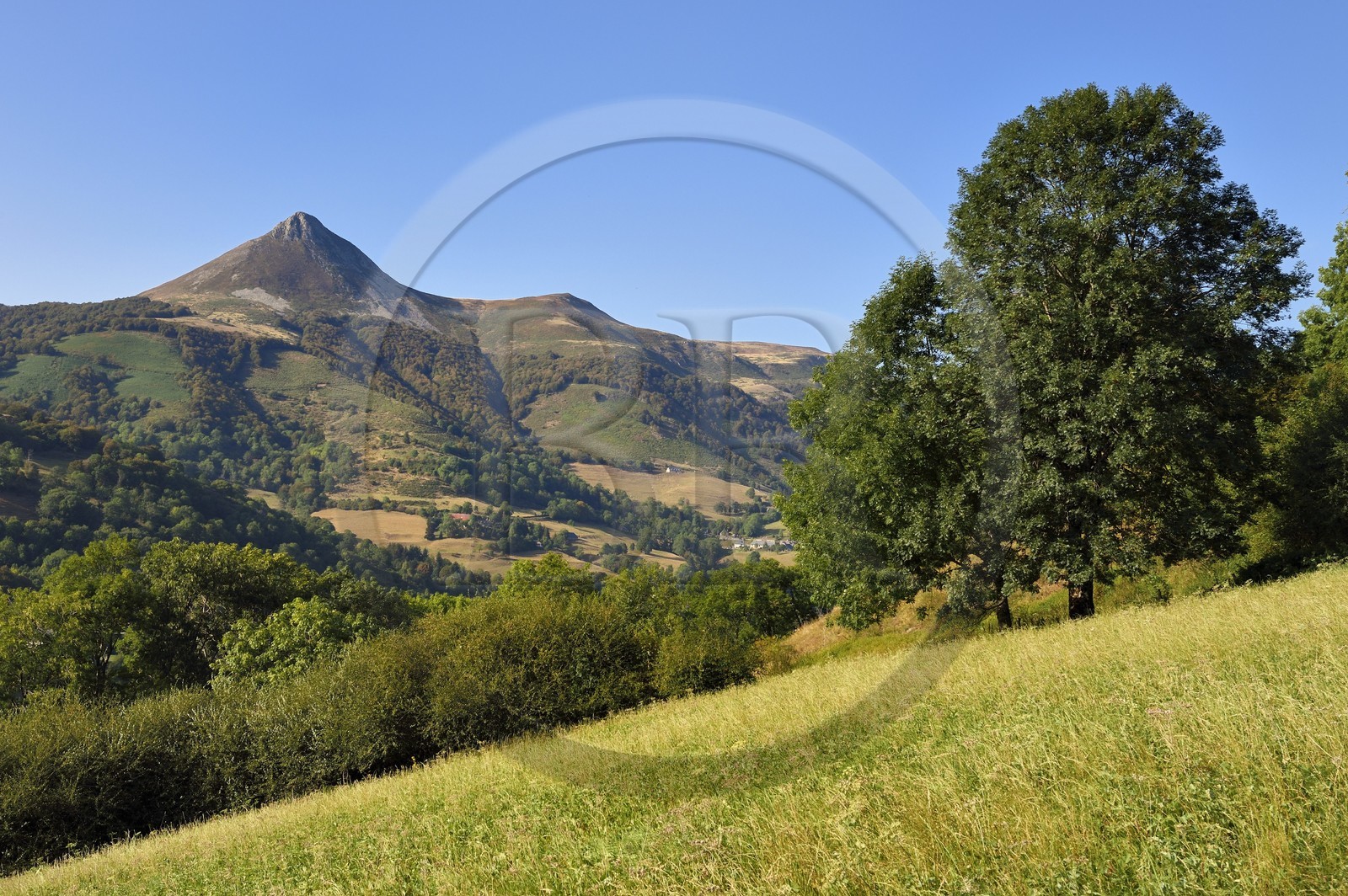 France, Cantal (15), Parc Naturel Régional des Volcans d'Auvergne, Saint-Jacques-des-Blats sur le chemin de Saint-Jacques de Compostelle par la Via Arverna, le Puy Griou