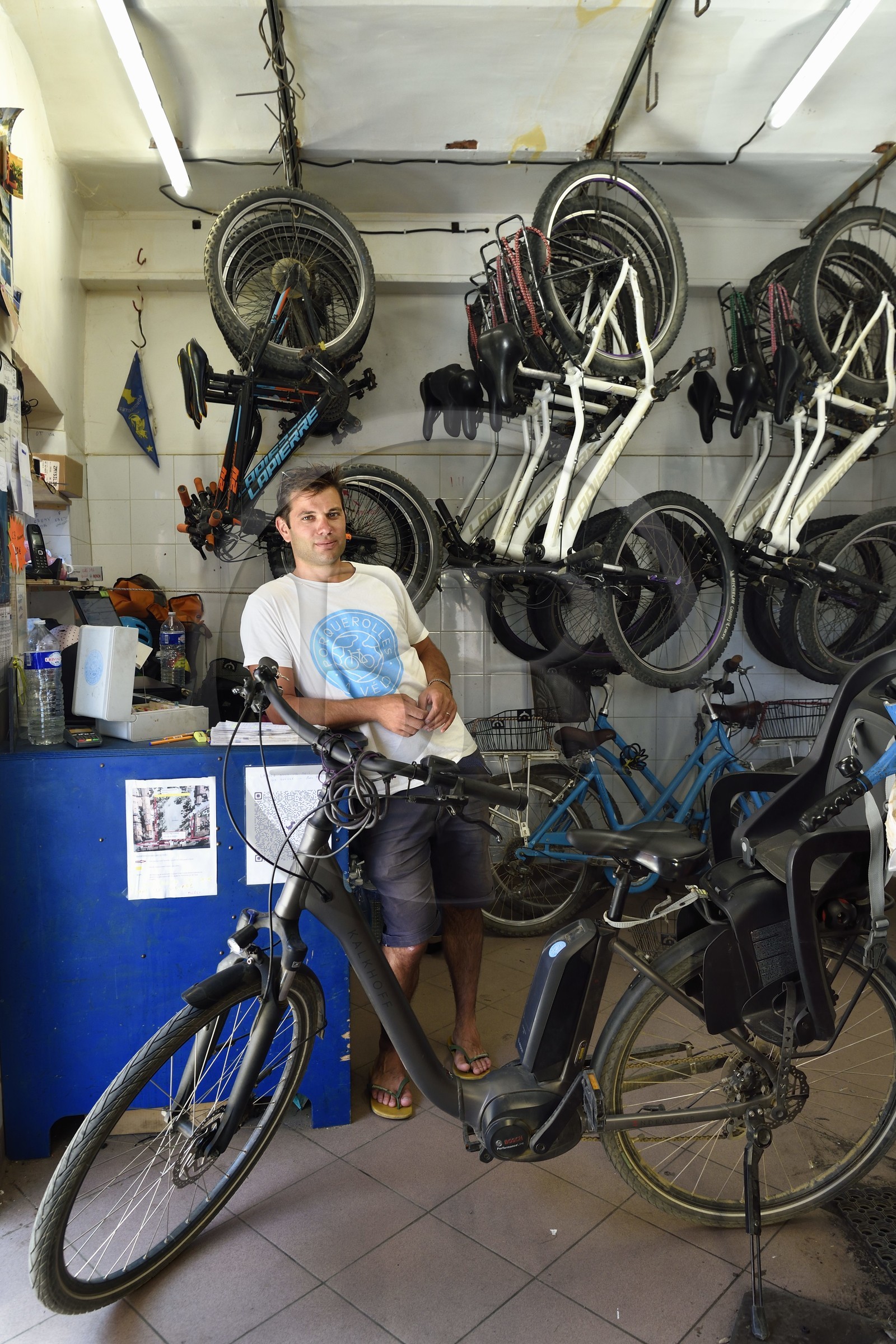 France, Var (83), Iles d'Hyères, parc national de Port Cros, Ile de Porquerolles, le loueur de vélo Edouard Ridolfi créateur de Porquerolles à Vélo