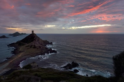 France, Corse du Sud, Golfe d'Ajaccio, Sanguinaires islands, Parata tower