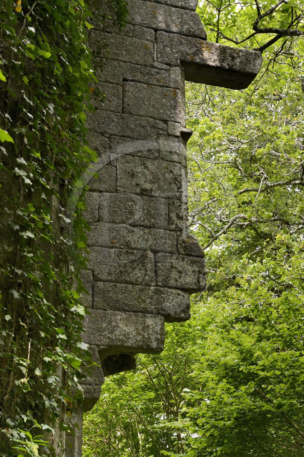 France, Finistere, Pont-Aven, Nizon, Rustephan castle, former manor house of the fifteenth and sixteenth century ruin