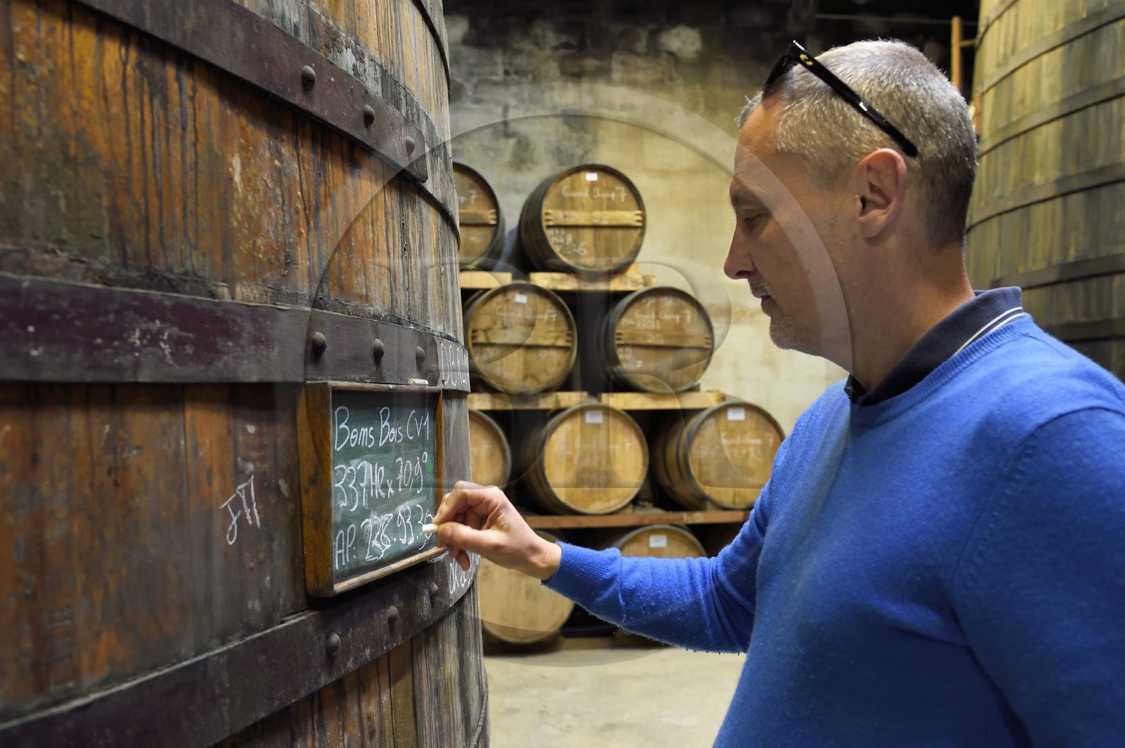 France, Charente, Sireuil, Distillerie des Moisans, in aging and blending cellars, chalk inscription of the contents of a foudre (large barrell)