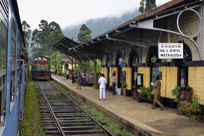 Sri Lanka, Province du Centre, trajet en train dans la région montagneuse de la culture du thé entre Hatton et Ella, entrée du train en gare de Watagoda