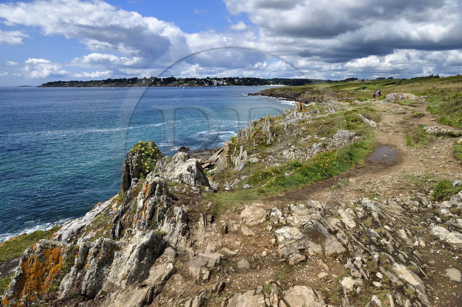 France, Finistere (29), Moelan sur Mer, the coast between Kerfany les Pins and the beach of Trenez along the GR 34 hiking trail or sentier des douaniers (customs trail)