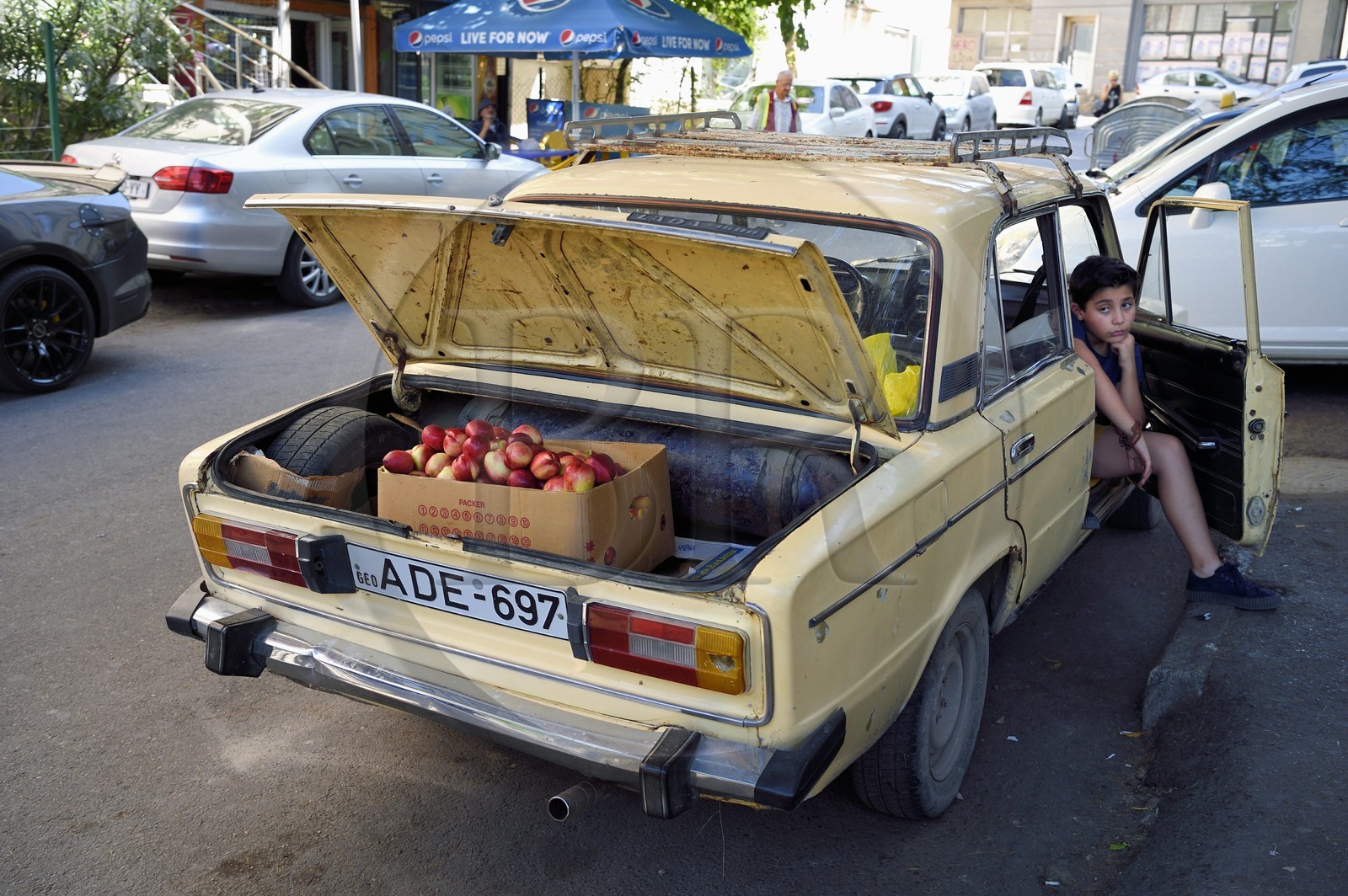 Georgia, Tbilisi, Merab Kostava street, unofficial apple seller