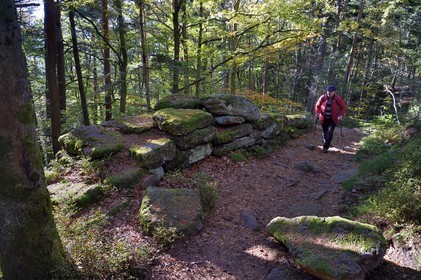 France, Bas-Rhin (67), Mont Saint-Odile, randonnée le long du Mur Païen, vestige d'un mur d'enceinte probablement de l'époque mérovingienne d'une longueur totale de onze kilomètres