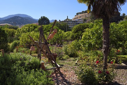 France, Alpes-Maritimes (06), Menton, Jardin du Palais de Carnolès, son parc botanique abrite la plus importante collection d’agrumes d’Europe
