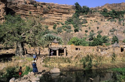 Mali, pays Dogon, falaise de Bandiagara classée Patrimoine Mondial de l'UNESCO, vers le village de Banani, Marigot sacré dans la plaine