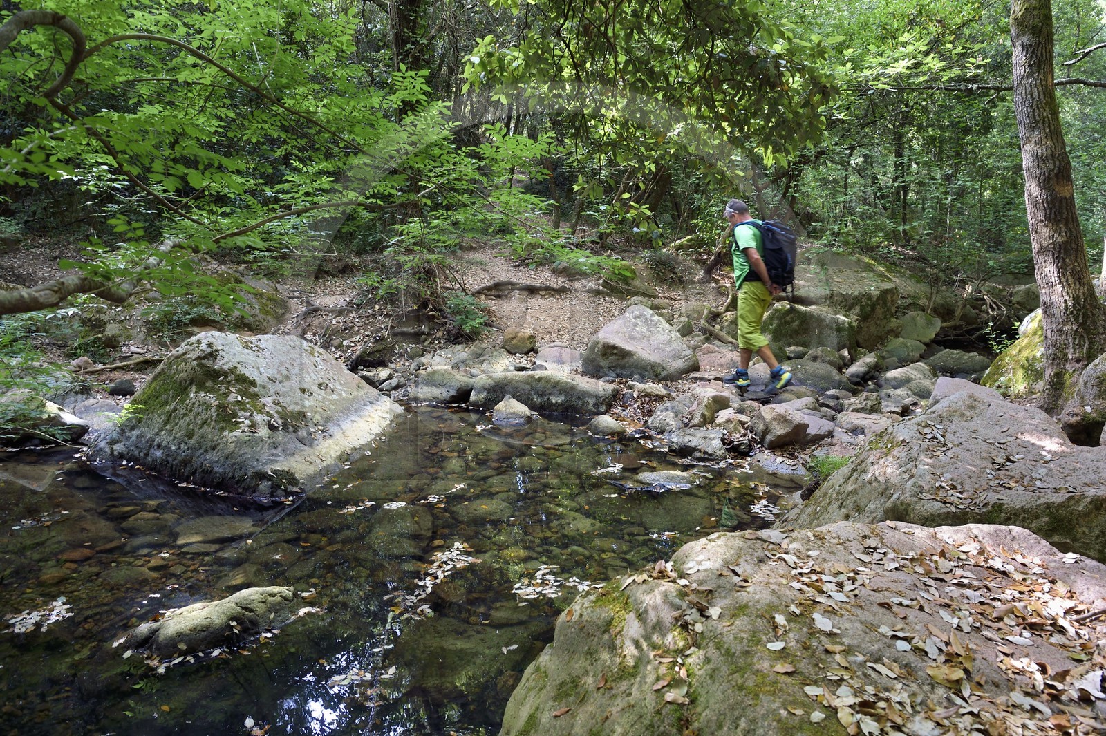 France, Var (83), entre Bagnols-en-Forêt et Roquebrune-sur-Argens, randonnée dans les Gorges du Blavet, traversée du Blavet