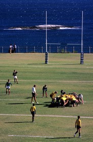 Afrique du Sud, péninsule de Cap, Le Cap, match de rugby au lycée de Camps Bay