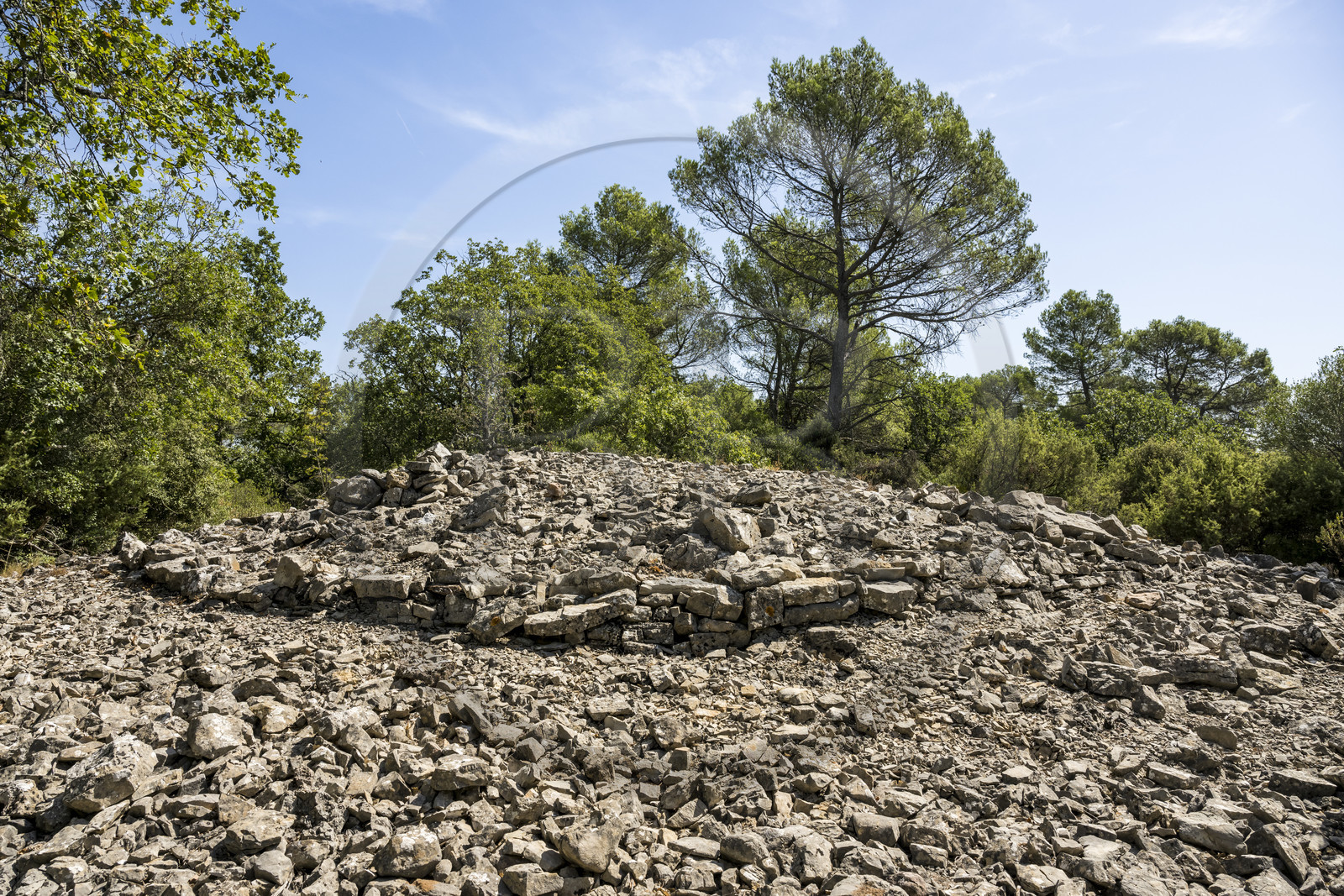 France, Var (83), Provence Verte, Bras, vers Saint-Maximin-la-Sainte-Baume, la maison d'hotes Le Peyrourier - une campagne en Provence, tumulus