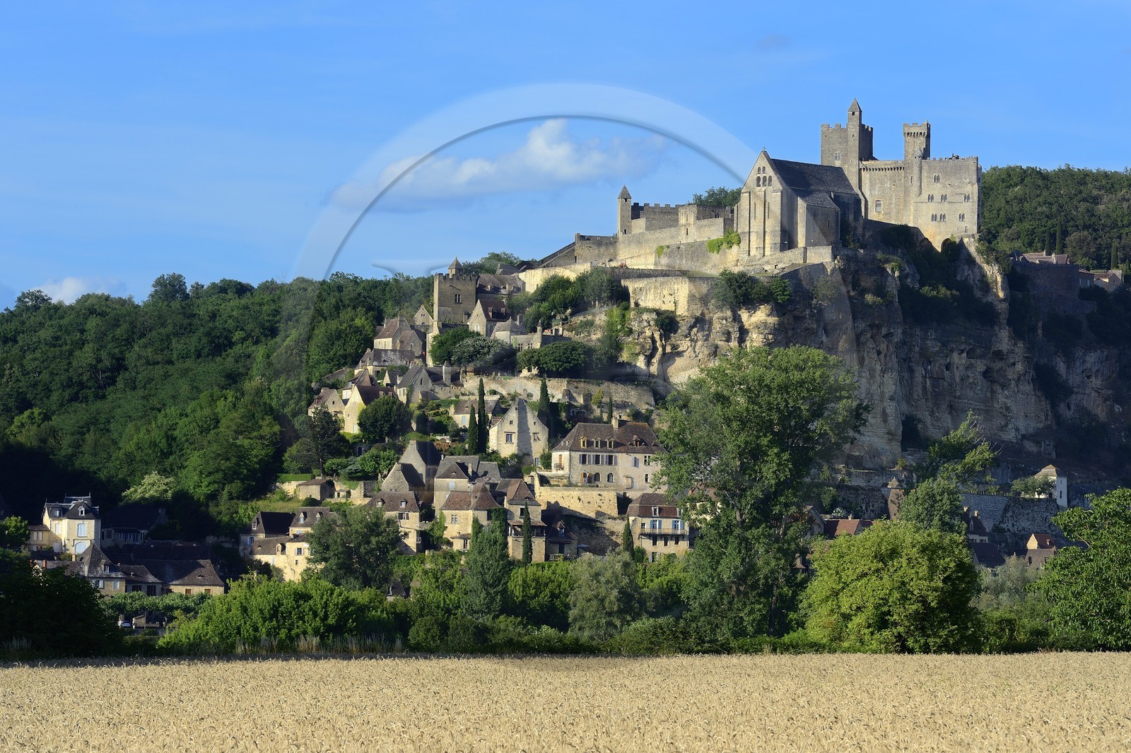 France, Dordogne (24), Périgord Noir, vallée de la Dordogne, Beynac-et-Cazenac, labellisé Les Plus Beaux Villages de France, le chateau sur un éperon rocheux
