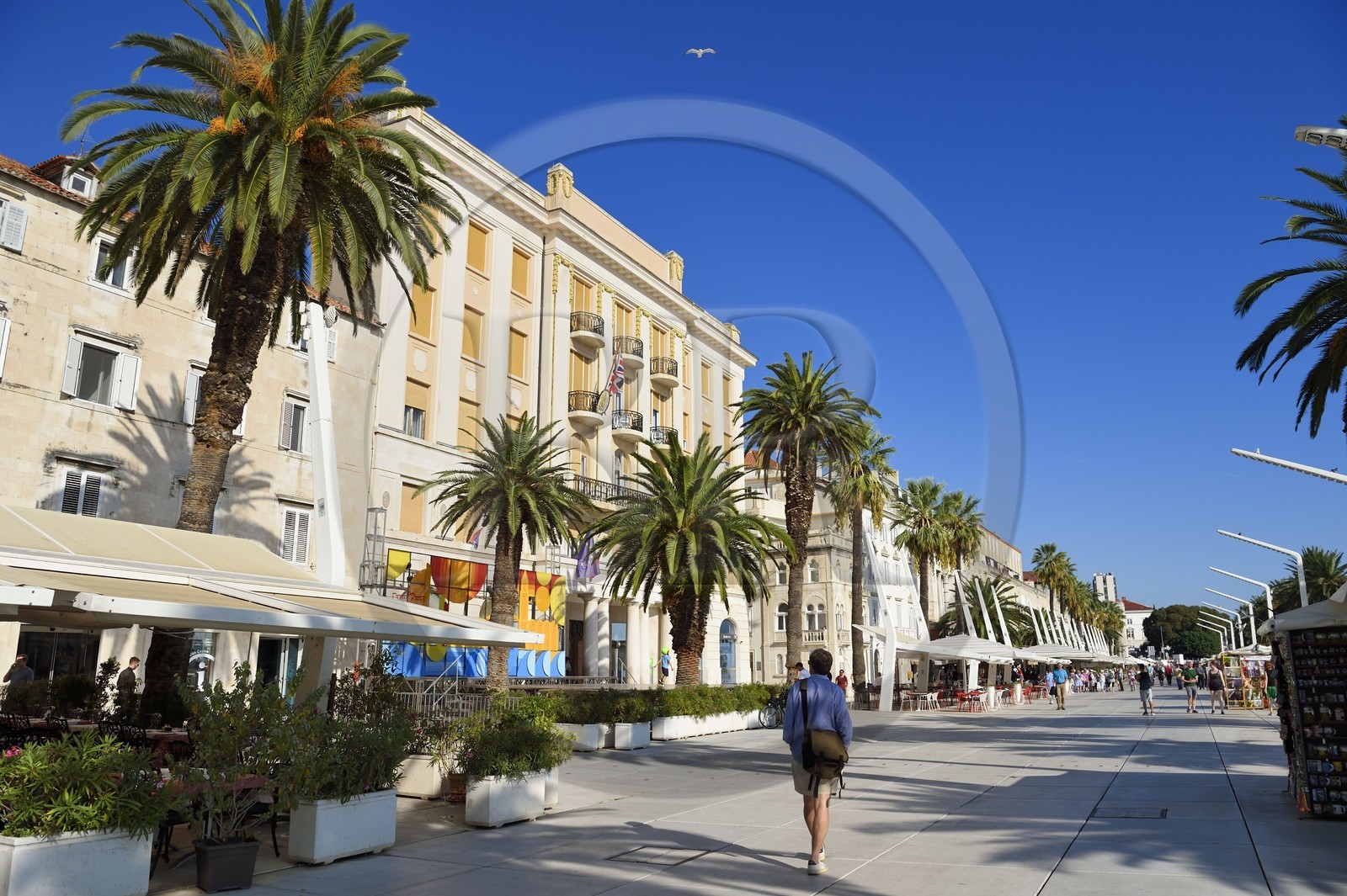 Croatie, Dalmatie, cote dalmate, Split, vieille ville romaine classée Patrimoine Mondial de l'UNESCO, la Riva promenade du bord de mer