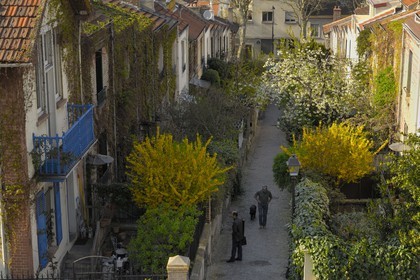 France, Paris (75), La campagne à Paris du quartier Mouzaïa, maisons avec jardins au cœur de la ville