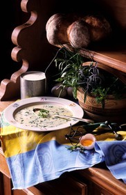 Suisse, région de Bern (Oberland Bernois), Interlaken, soupe à la crème aux herbes